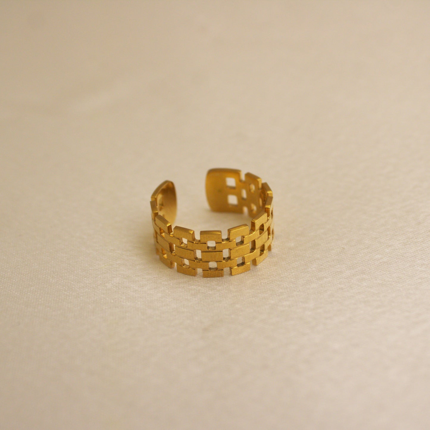 Eternal Link 18kt Gold Plated Ring